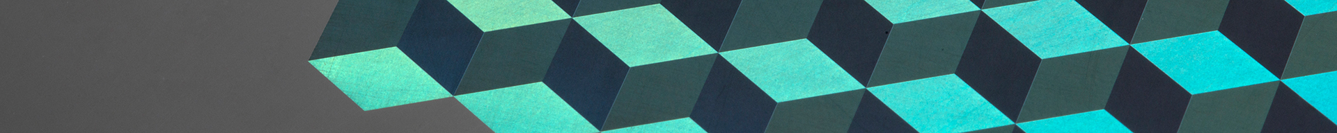 Polymer Replication Nanoscale